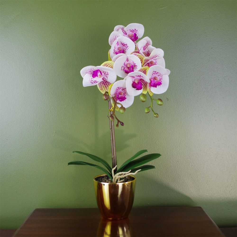 48cm Harlequin Orchid Artificial - Pink/Gold, Real Touch Leaves, Wired Stems - Premium Quality