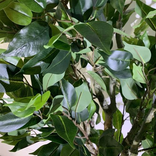 100cm Leaf Realistic Artificial Ficus Tree / Plant Bush Ficus Copper Planter