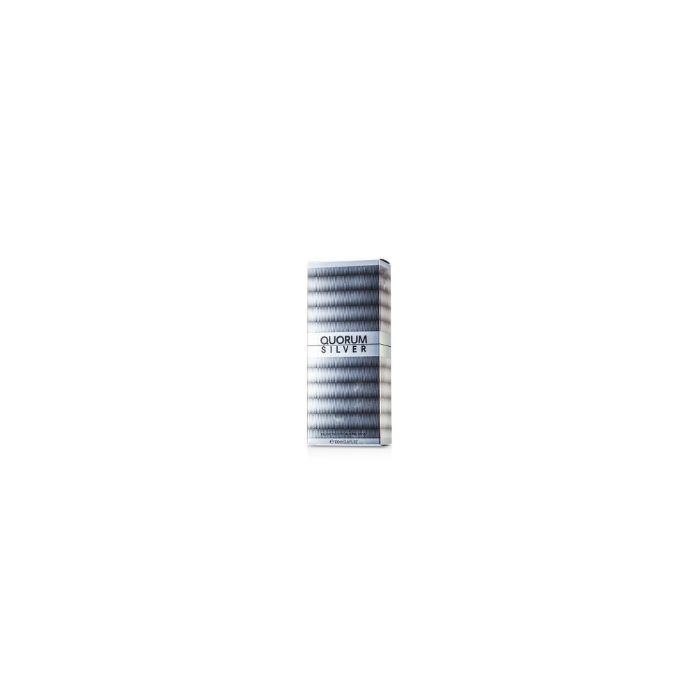Puig Quorum Silver  Eau De Toilette Spray 100ml