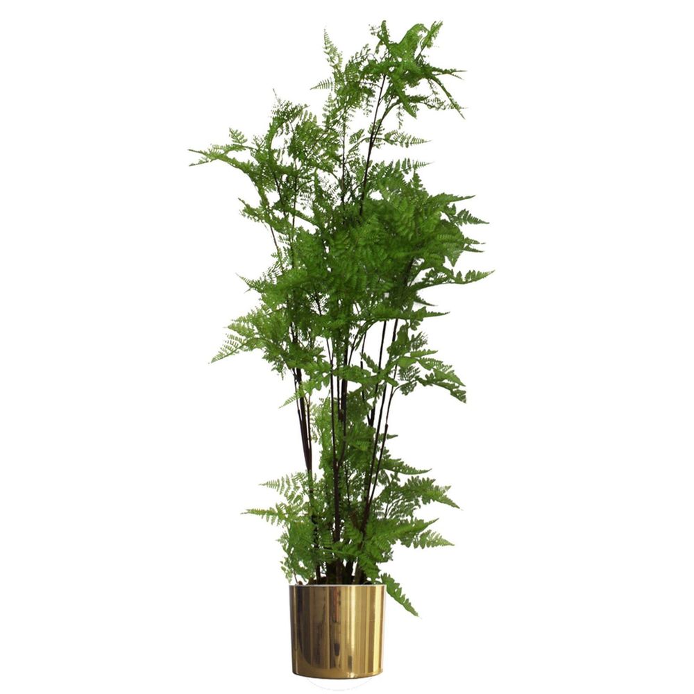 Luxurious 150cm Natural Moss Fern Plant with Gold Metal Planter