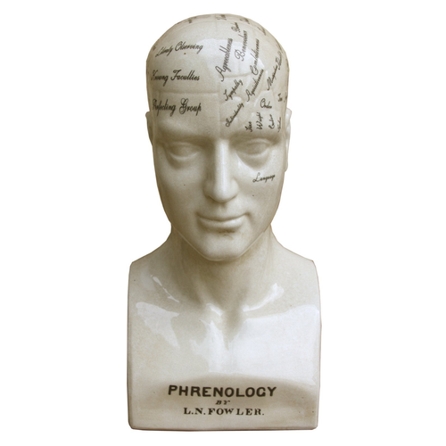 Large Ceramic Phrenology Head 42cm
