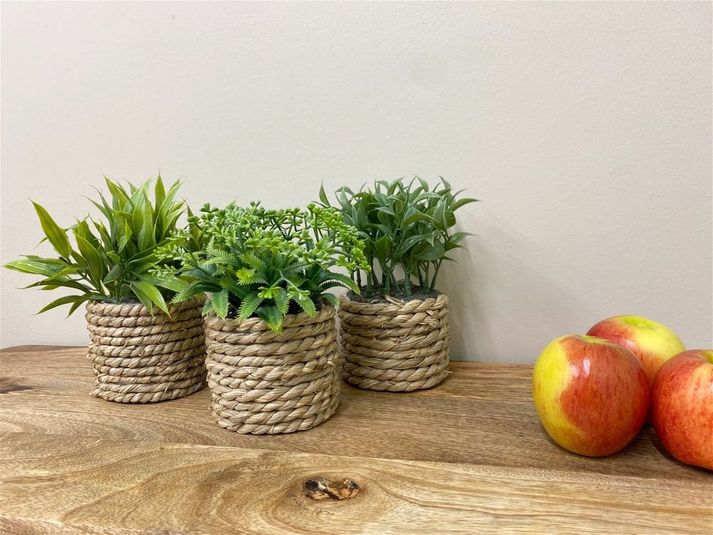 Stylish Rope Effect Pots with Artificial Succulents - Set of 3
