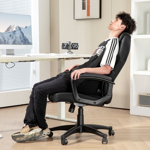 HOMCOM Executive Office Chair High Back Computer Chair with Armrests