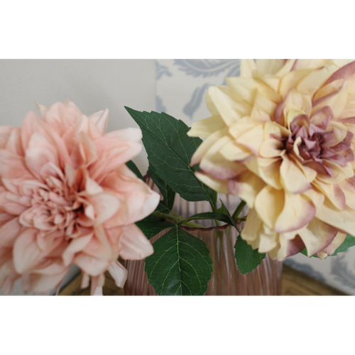 Dahlia Flower Stems