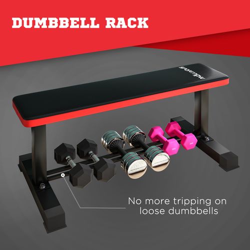 SPORTNOW Flat Weight Bench with Dumbbell Rack, 300KG Weight Capacity