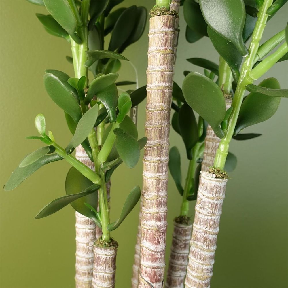 Deluxe 75cm Green Jade Plant: Exquisite, Realistic, Elegant, Sophisticated, Perfect for Any Space.