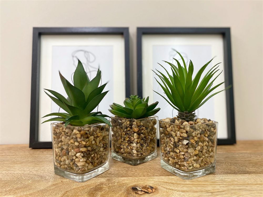 Realistic Faux Succulents in Glass Pots