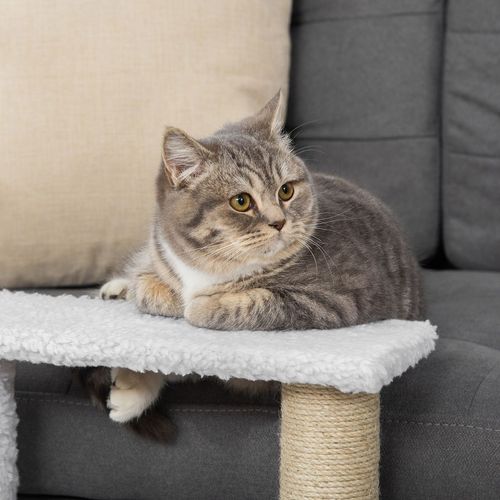 PawHut Pet Stair with 4-step Climb Ladder, Scratching Posts