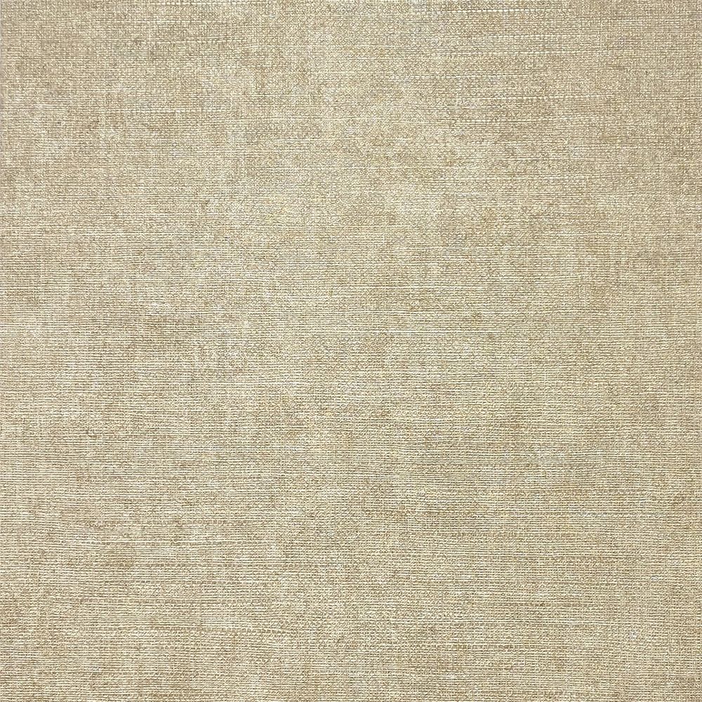 Premium Quality Luxury Plain Champagne - High-End Elegance & Taste