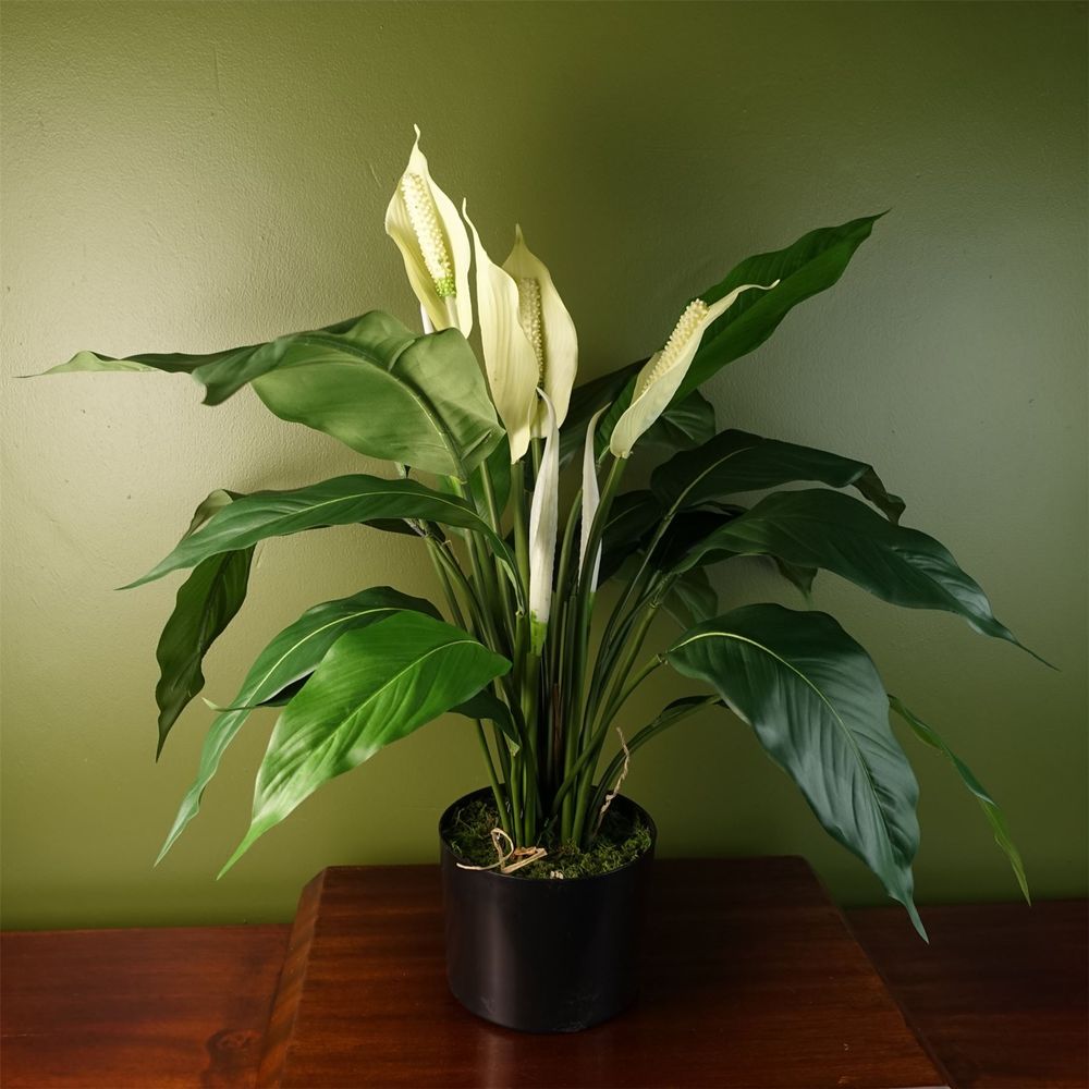 Silk Peace Lily: Artificial White Spathiphyllum - Lifelike Indoor Replica - 60cm Height