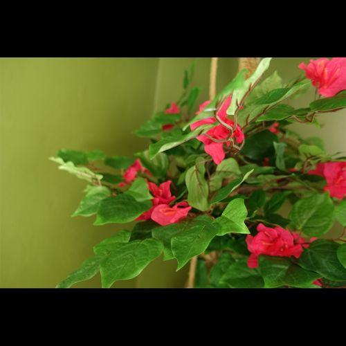 150cm Pink Japanese Artificial Silk Bougainvillea Tree