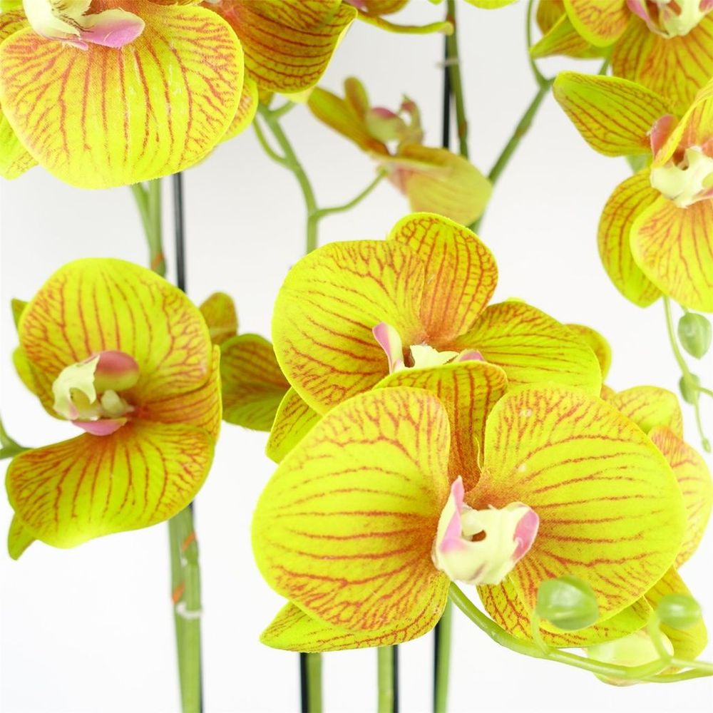 Botanik - 80cm Large Orchid Lime Yellow Artificial - 41 Real Touch Flowers - High-Quality Craftsmanship