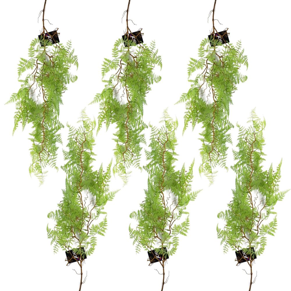 6-Pack 100cm Artificial Hanging Maidenhair Fern - Light Green