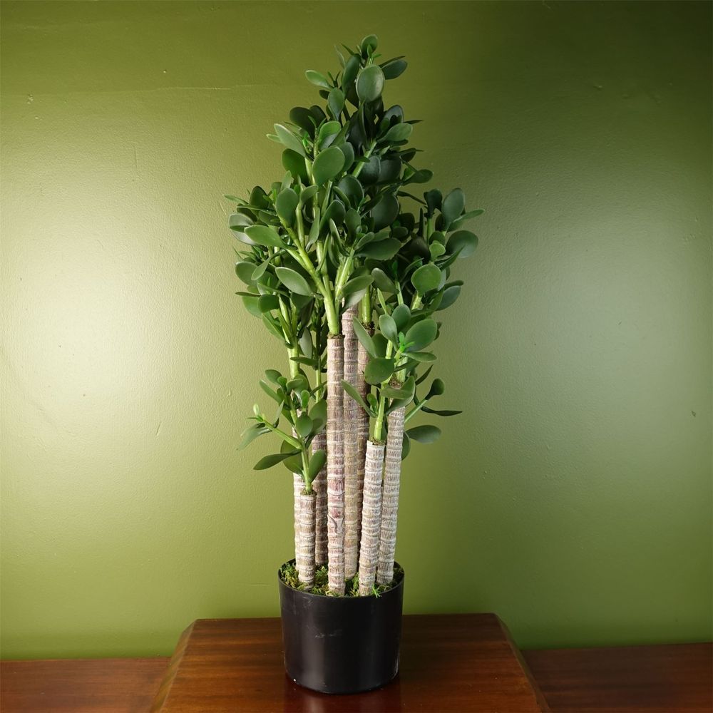 Deluxe 75cm Green Jade Plant: Exquisite, Realistic, Elegant, Sophisticated, Perfect for Any Space.