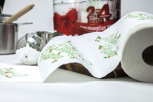 Renova Luxury Christmas Rolls - 9 Toilet Paper & 2 Kitchen XXL Rolls w/ 80 Sheet