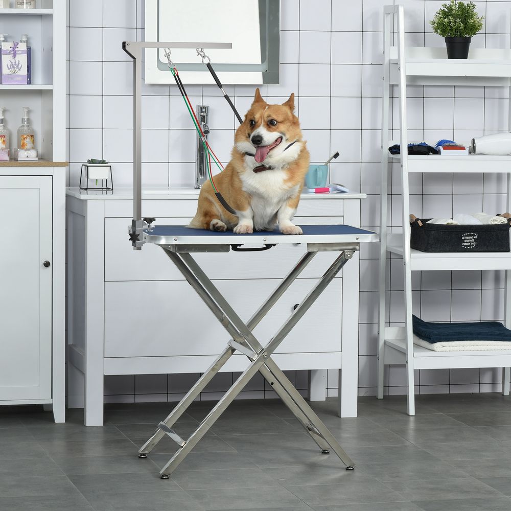 PawHut Foldable Pet Grooming Arm w/Clamp 30 Inch Height Adjustable, Dog Grooming Loop, Two No Sit Haunch Holders for Small Medium Dogs, Sliver