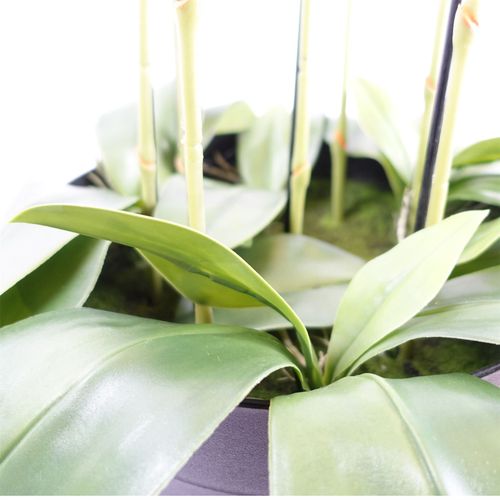 110cm Large Yellow Peach Orchid Plant - Artifcial - 41 REAL TOUCH flowers