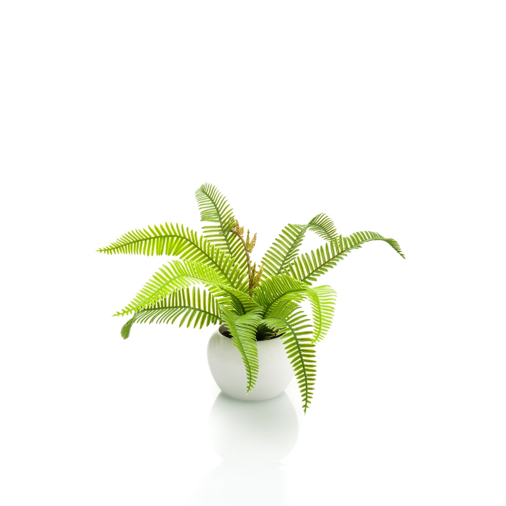 Artificial Boston Fern Potted Plant Green 17cm - Lifelike Indoor Decor - No Maintenance Required