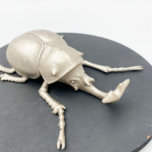 33CM INSECT WALL DECOR ON WOOD BOARD