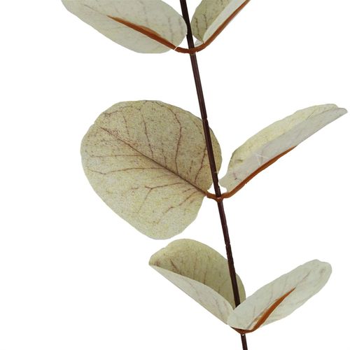 80cm White Eucalyptus Foliage Stem
