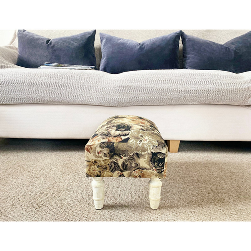Cat Fabric Footstool with Drawer
