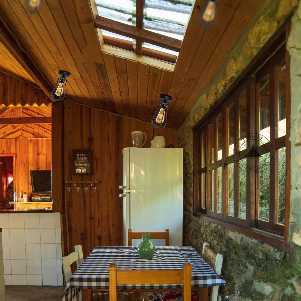 Vintage Industrial Geometric Balloon Shaped Wire Cage Ceiling Light