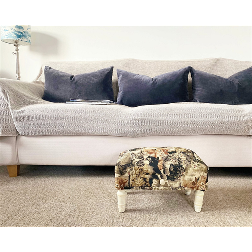 Cat Fabric Footstool with Drawer