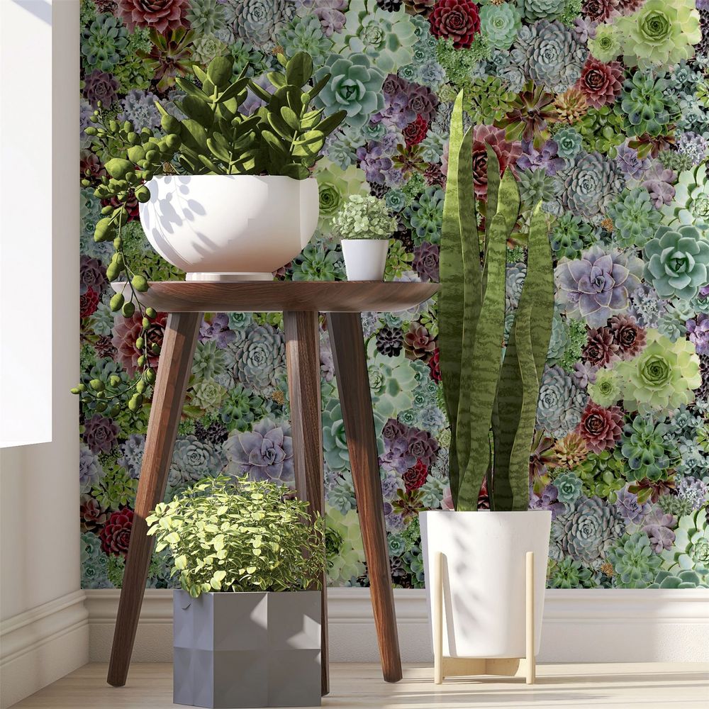 Premium Quality Succulent Living Wall Multi sw12