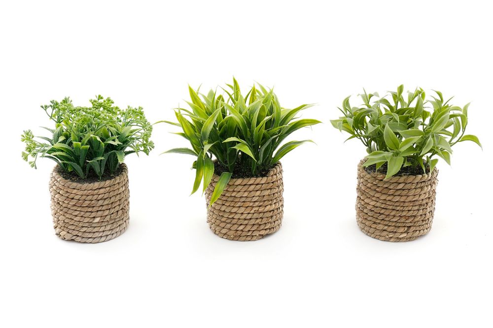 Stylish Rope Effect Pots with Artificial Succulents - Set of 3