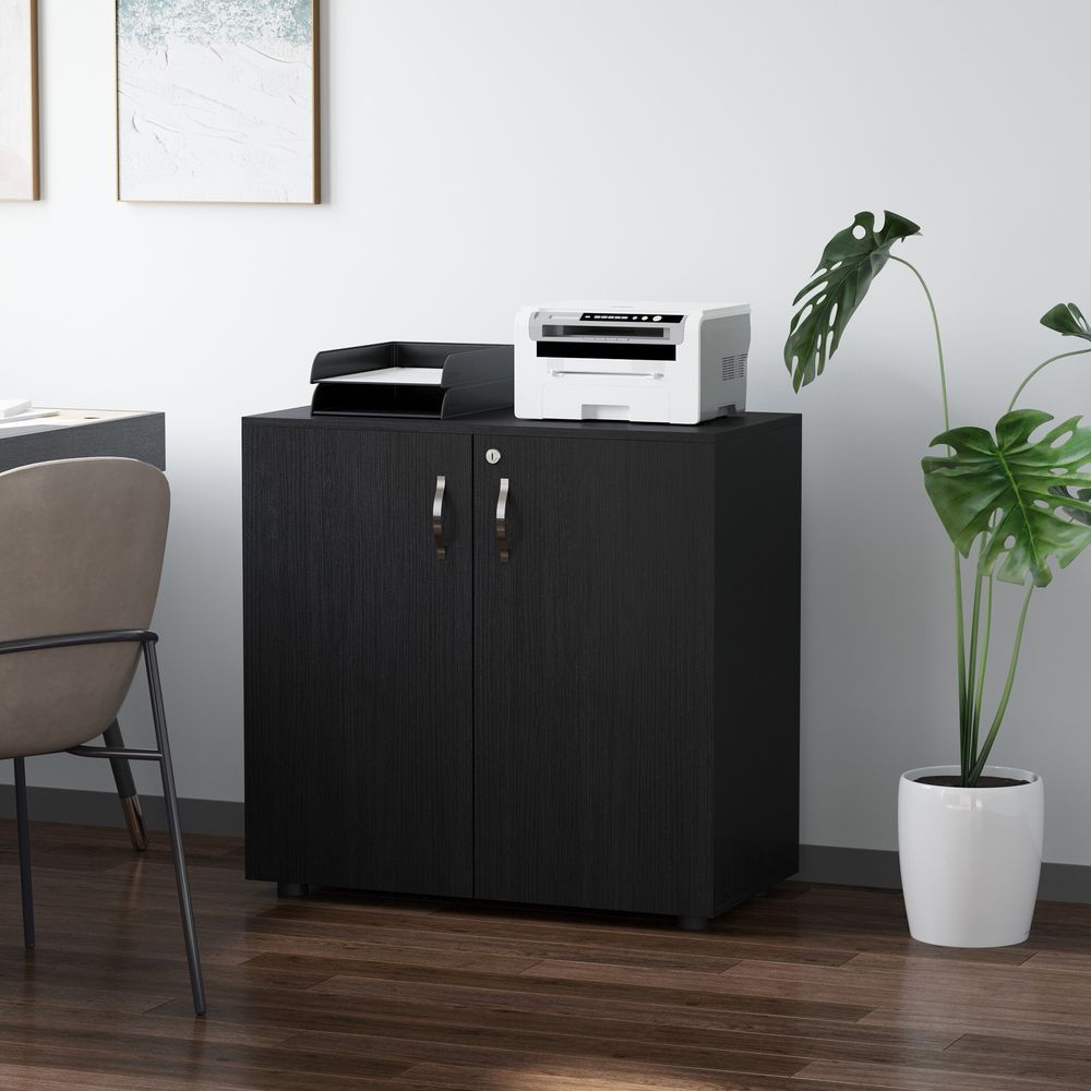 Vinsetto Lockable Office Storage Cabinet 2-Tier Filing Cabinet w/Feet 2 Keys Melamine Coating Aluminium Handles Home Office Printer Stand Black