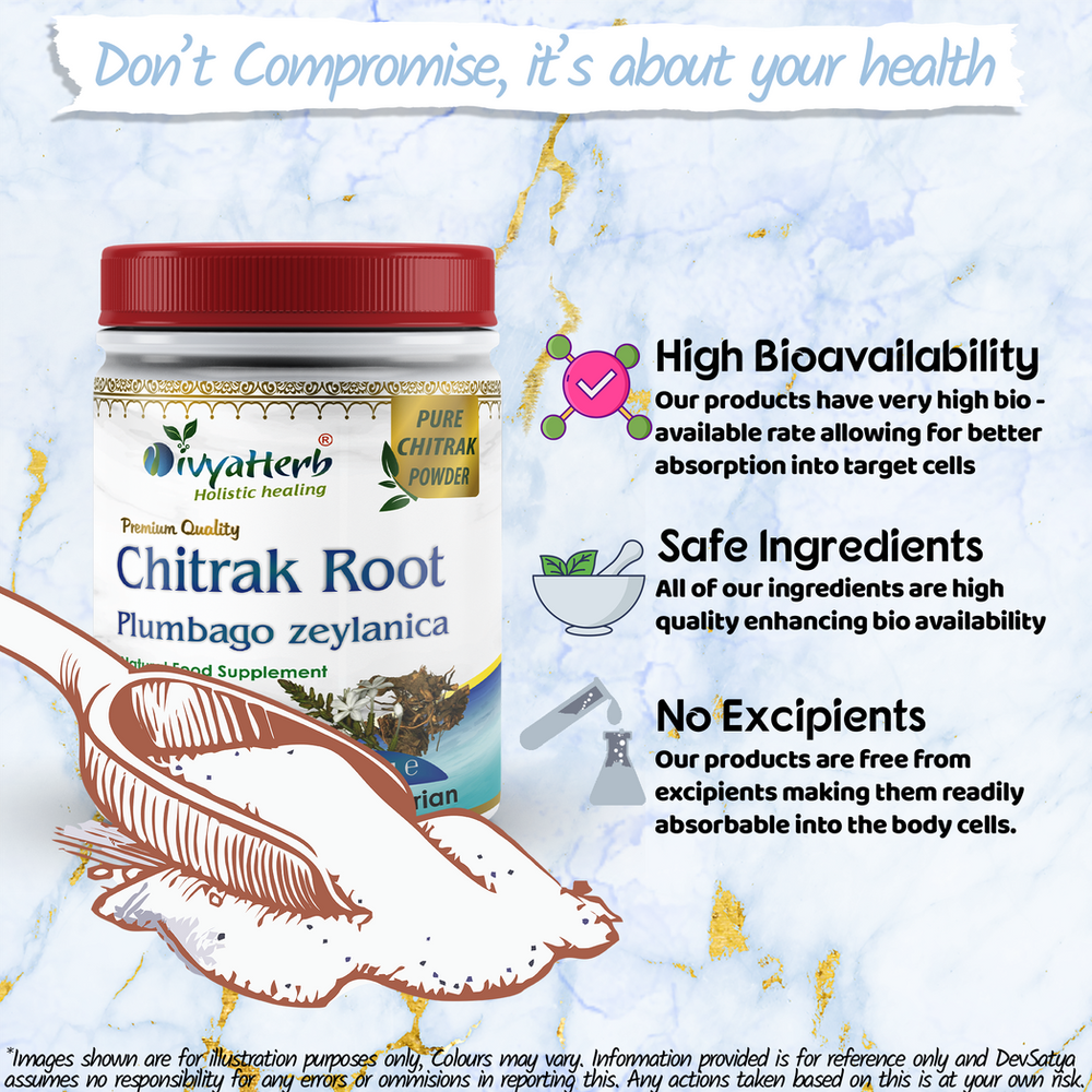 Premium Chitrak Powder – Health Benefits from Plumbago zeylanica