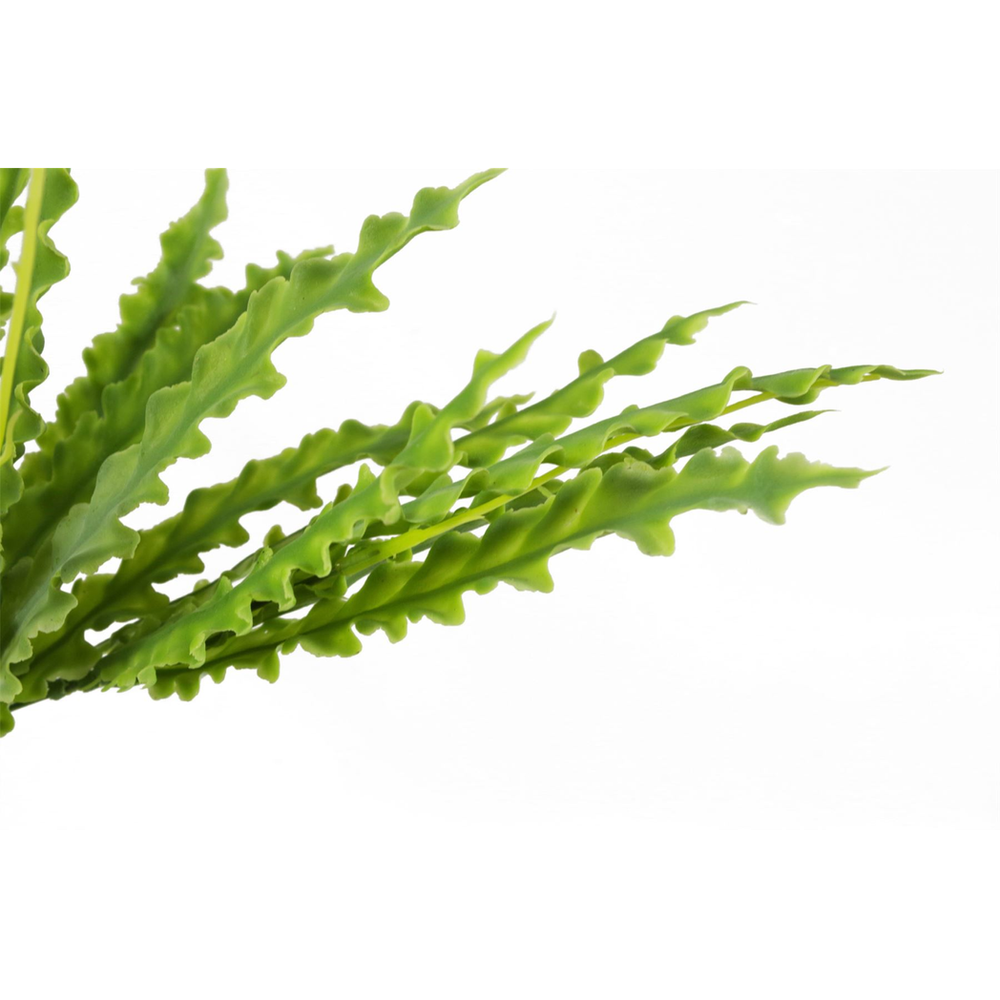 Realistic 40cm Artificial Crocodile Fern Plant