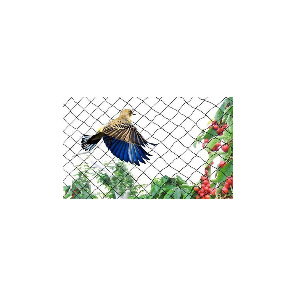 Anti Bird Garden Netting 2M X 10M - Plant Veg Crops Fruit Fine Mesh - Pond Net - Protects Plants from Birds - High Quality