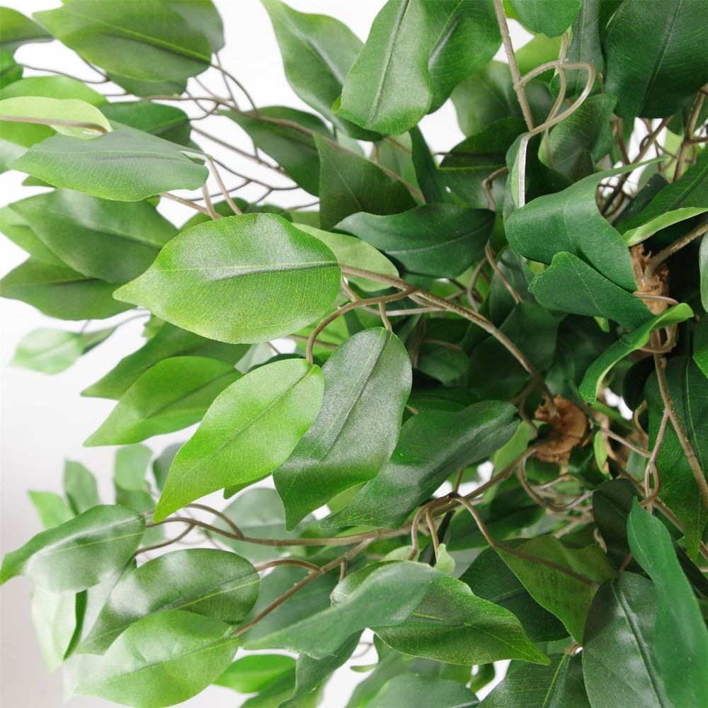 Realistic 90cm Artificial Evergreen Ficus Tree - Lifelike Indoor Decor - Perfect for Homes & Businesses - Botanically Accurate Foliage