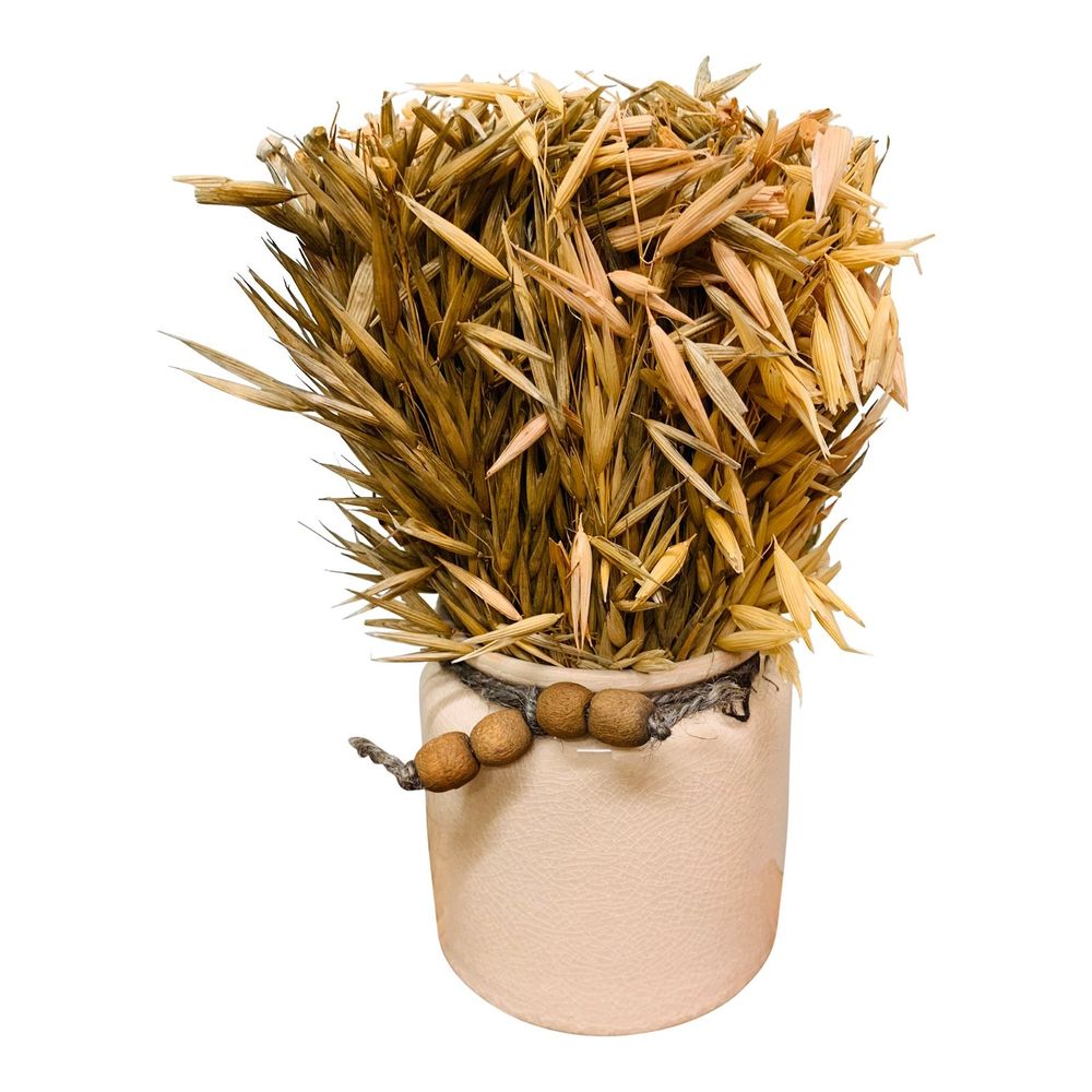 Dried Grasses in Ceramic Pots - Rustic Charm for Home Decor