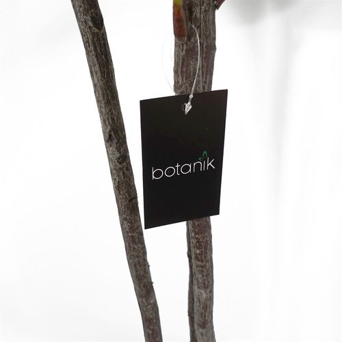 150cm Artificial Fiddle Fig Tree  Premium Quality