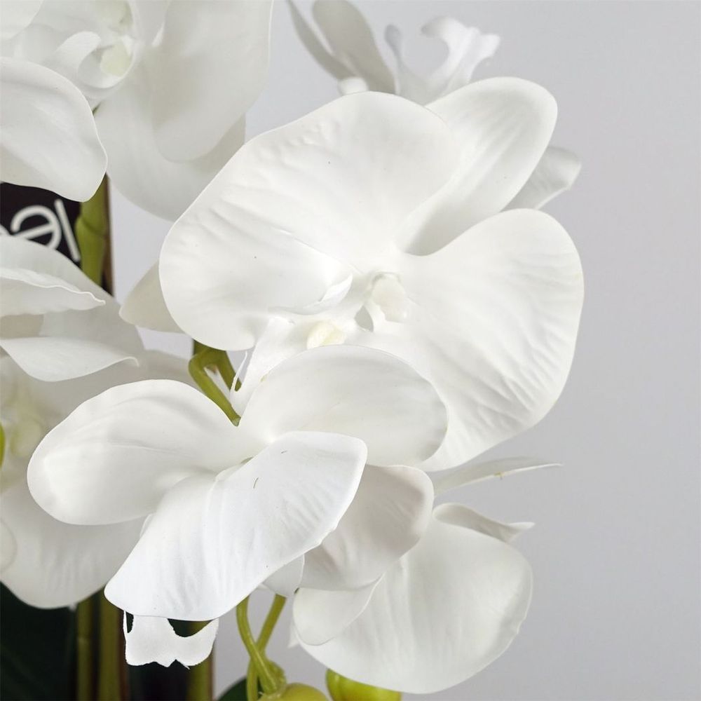 60cm White Artificial Orchid - Lifelike & Stunning - Ceramic Bubble Planter