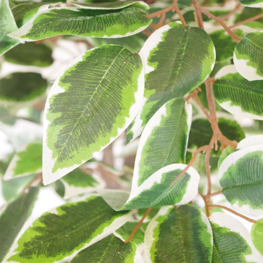 130cm Lifelike Realistic White Edge Ficus Artificial Plant Tree