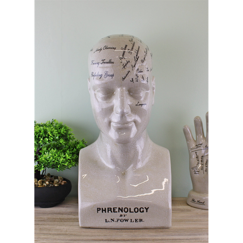 Large Ceramic Phrenology Head 42cm