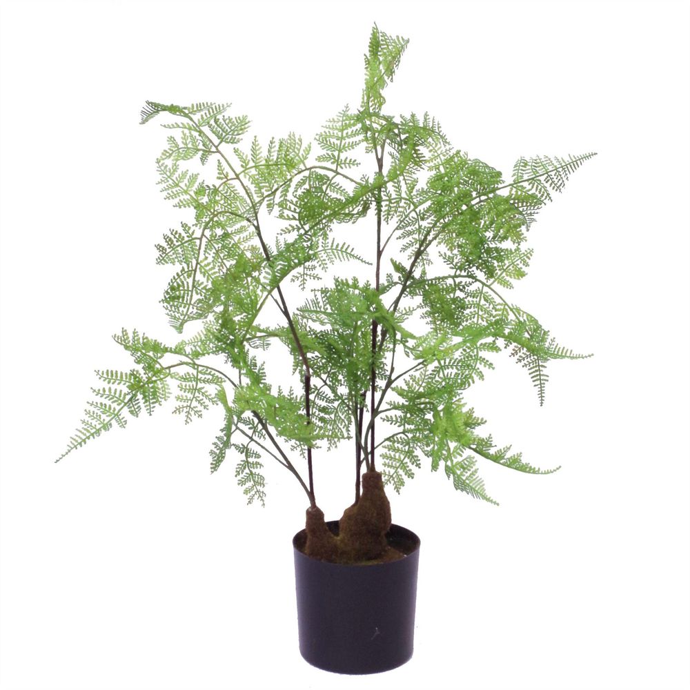 60cm Natural Moss Base Fern Foliage Plant: High-Quality, Lifelike, Captivating