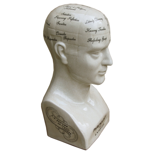 Large Ceramic Phrenology Head 42cm