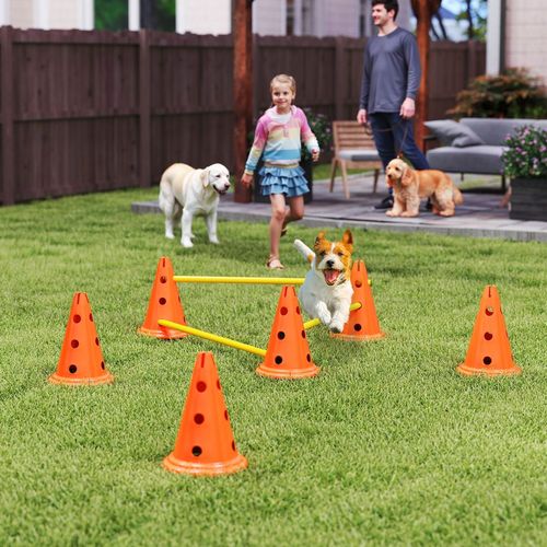PawHut Dog Agility Equipment Set, 3 PCS Adjustable Height Jumping Obstacles