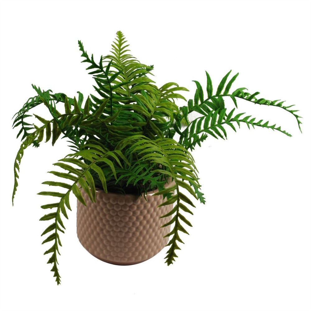 Pink Peach Raised Dots Ceramic Plant Pot: 15x15x12.5cm, Versatile & Luxurious, Perfect for Indoor Decor