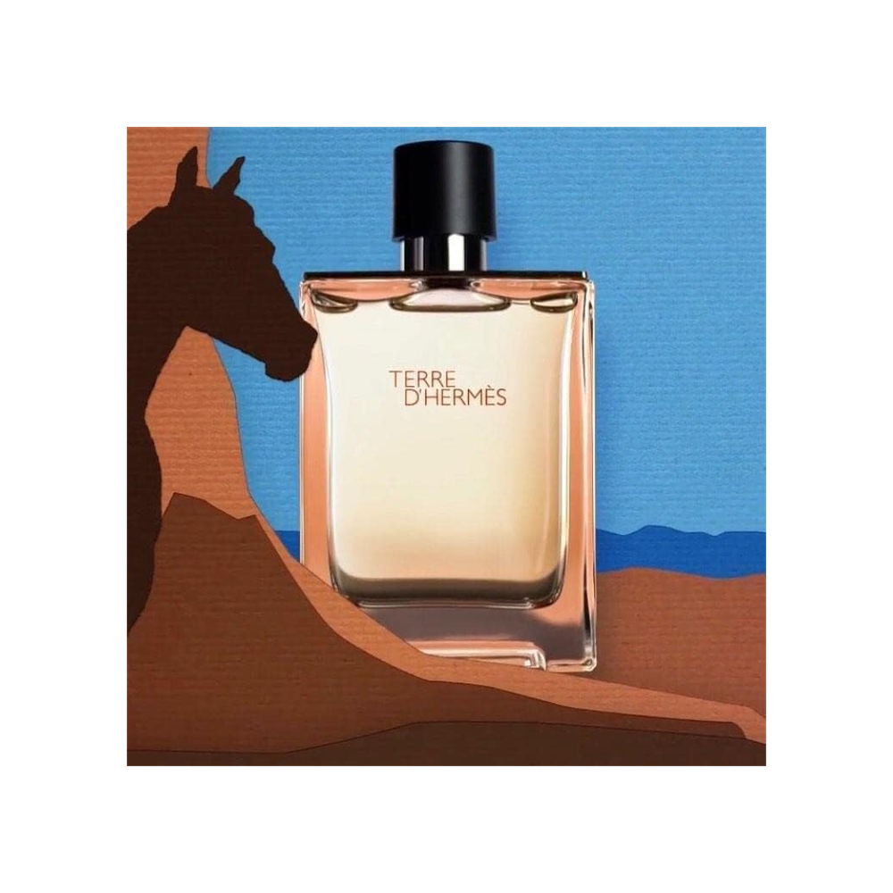 Hermes Terre D'hermes After shave Lotion 100ml