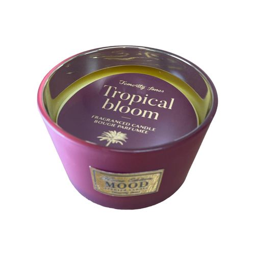 3 Wick Scented Candle, Pack of 2