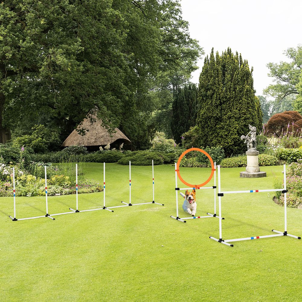 Premium Quality 3-Piece Pet Agility Set - Boost Your Dog's Training & Bonding - Portable & Easy to Transport