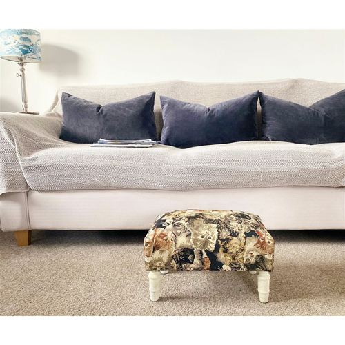 Cat Fabric Footstool with Drawer
