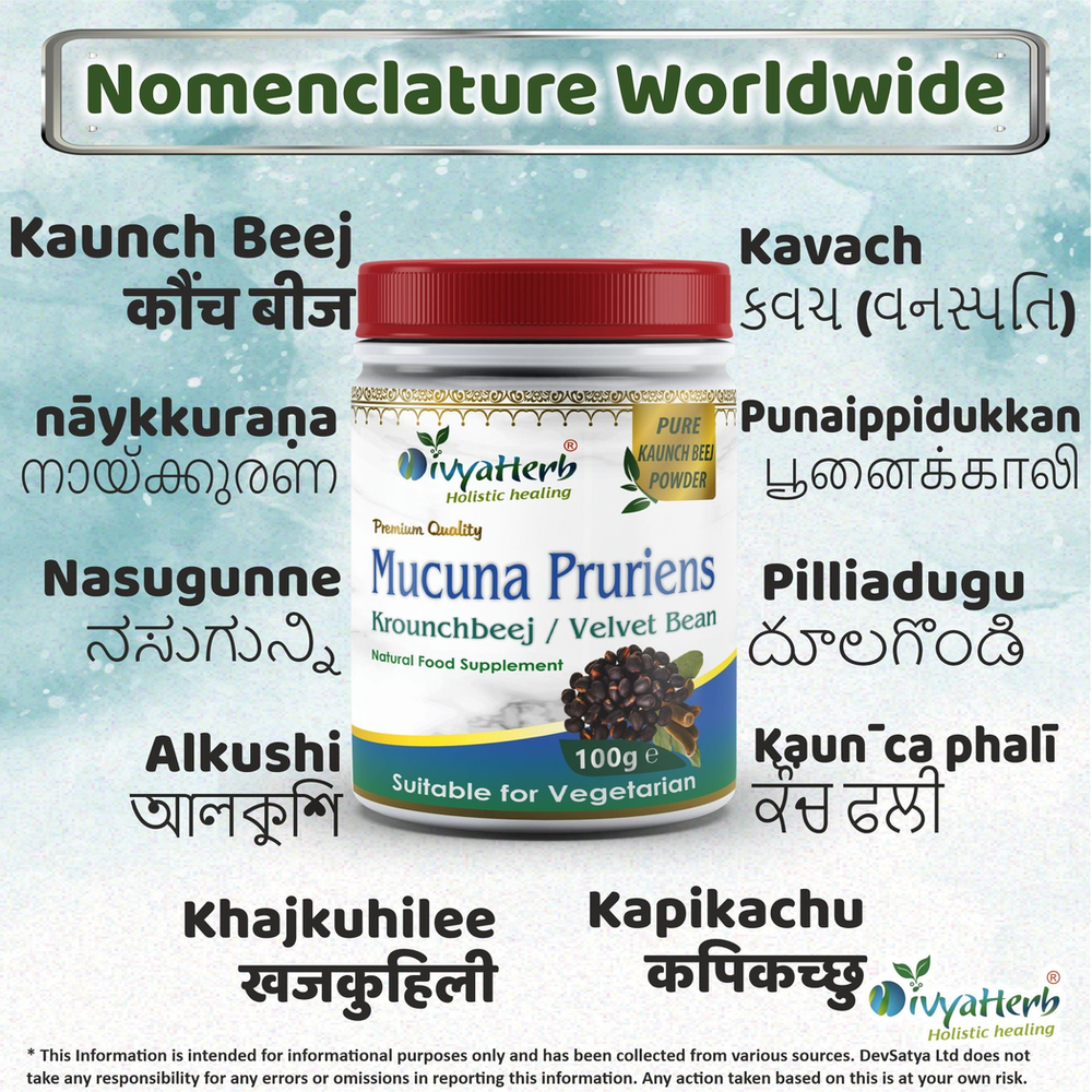 Mucuna Pruriens Powder: Highest Quality Legume Supplement for Health and Wellness