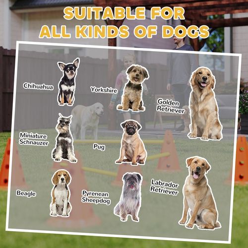 PawHut Dog Agility Equipment Set, 3 PCS Adjustable Height Jumping Obstacles