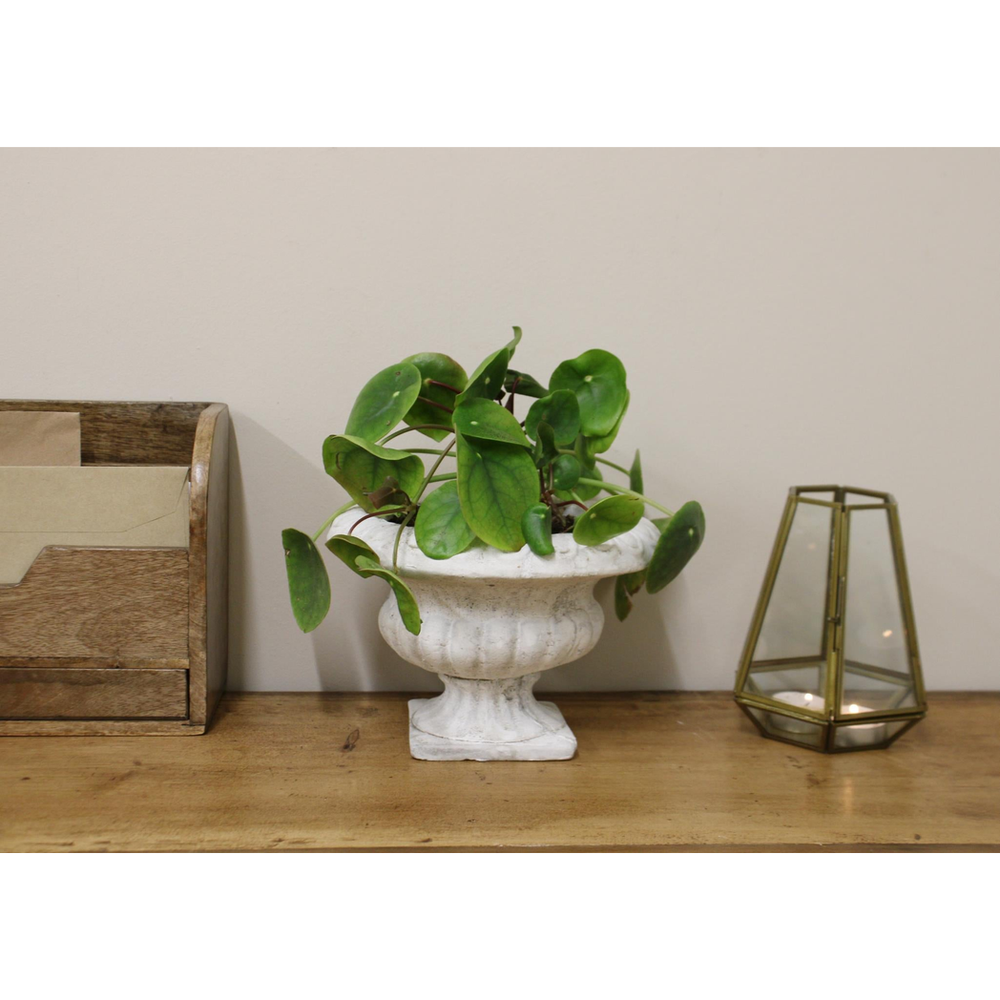 Premium Cement Urn Planter - Classic Design